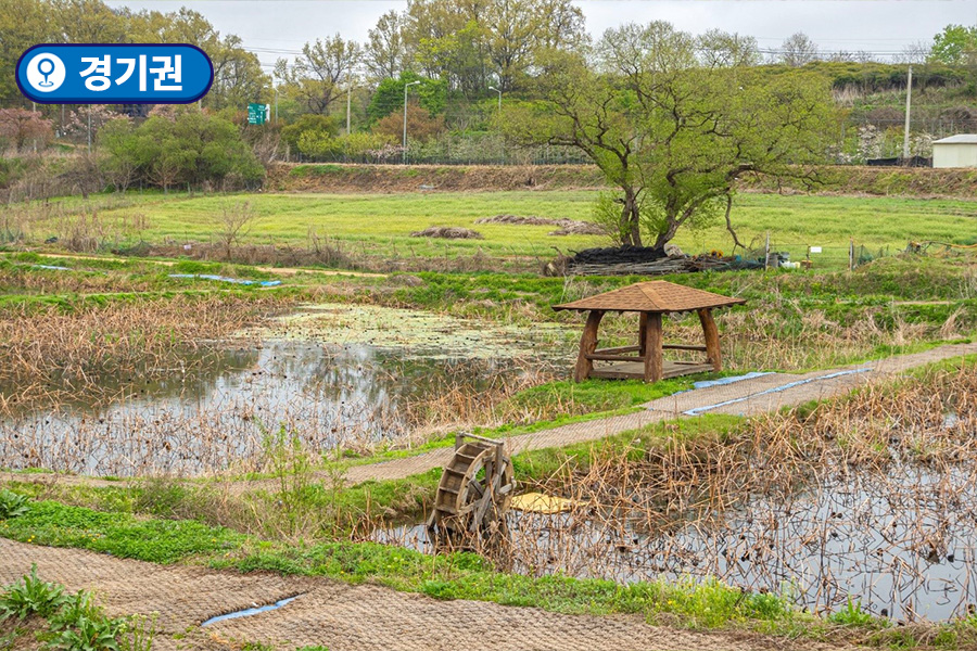 [경기권] 파주 장단콩마을