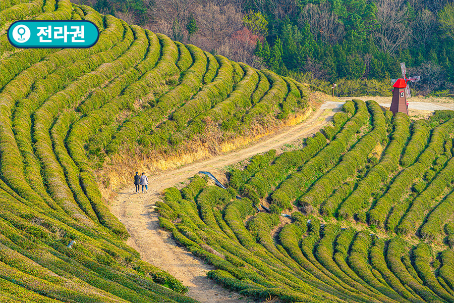 [전라권] 보성 다향울림촌