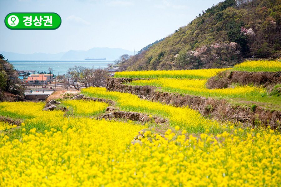 [경상권] 남해 두모마을