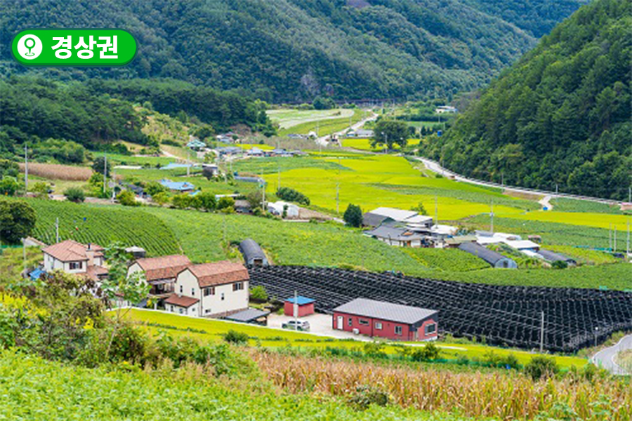 [경상권] 청량산비나리마을