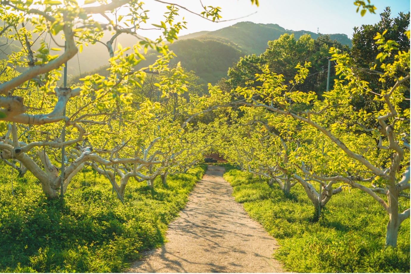 진주 같이 숨은 매력 가득한 진주 가뫼골마을