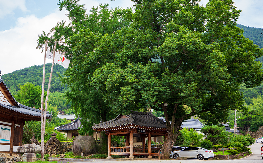 한국 전통과 자연과 함께하는 전남 담양 여행