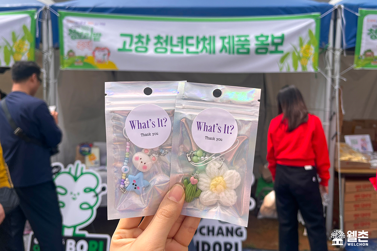 고창청보리밭축제